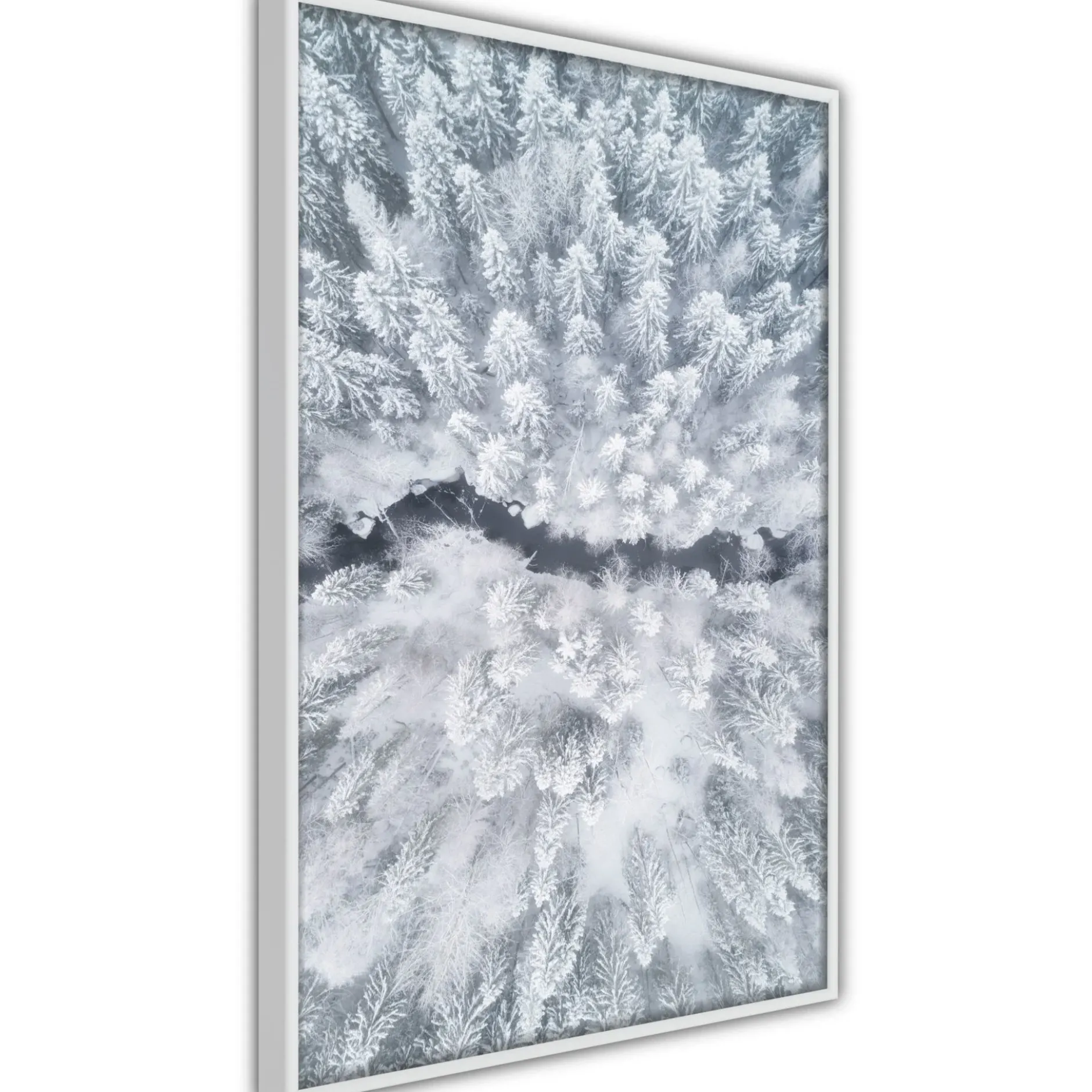 Poster 'Winter Forest From a Bird's Eye View'