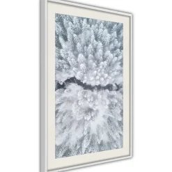 Poster 'Winter Forest From a Bird's Eye View'