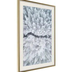 Poster 'Winter Forest From a Bird's Eye View'
