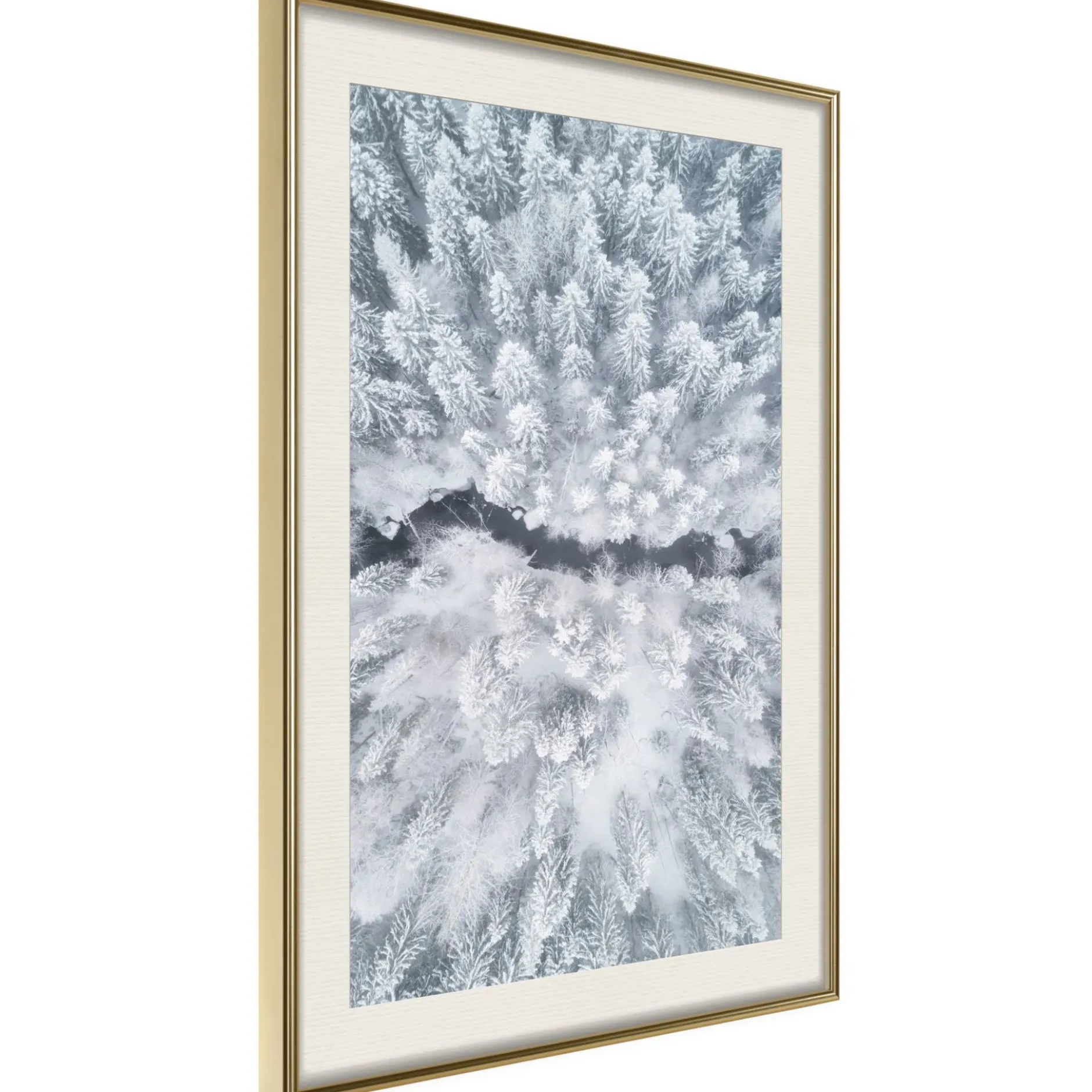 Poster 'Winter Forest From a Bird's Eye View'