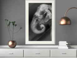 Poster 'Wisdom'