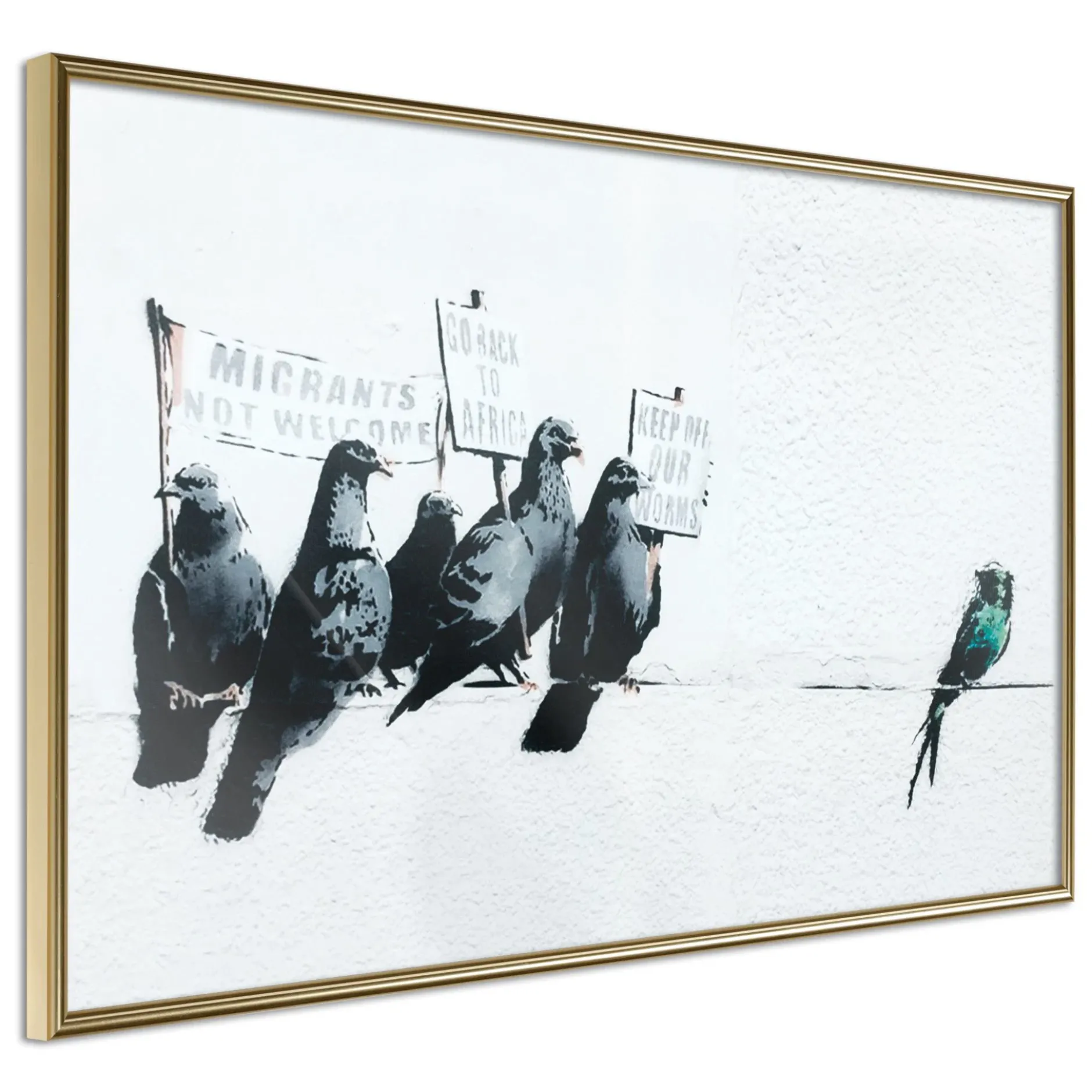 Poster 'Xenophobic Pigeons'