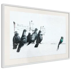 Poster 'Xenophobic Pigeons'