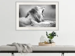 Poster 'Yawning Lion'