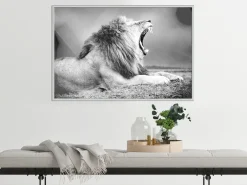 Poster 'Yawning Lion'