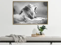 Poster 'Yawning Lion'