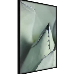 Poster 'Young Leaf of Agave'