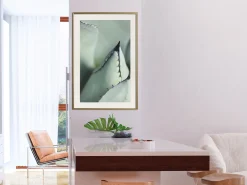 Poster 'Young Leaf of Agave'