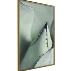 Poster 'Young Leaf of Agave'