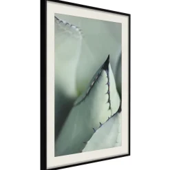 Poster 'Young Leaf of Agave'