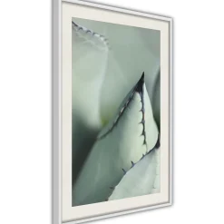 Poster 'Young Leaf of Agave'