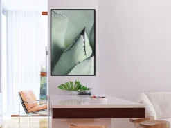 Poster 'Young Leaf of Agave'