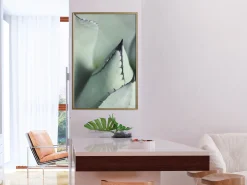 Poster 'Young Leaf of Agave'
