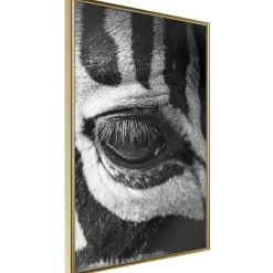 Poster 'Zebra Is Watching You'