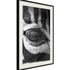 Poster 'Zebra Is Watching You'