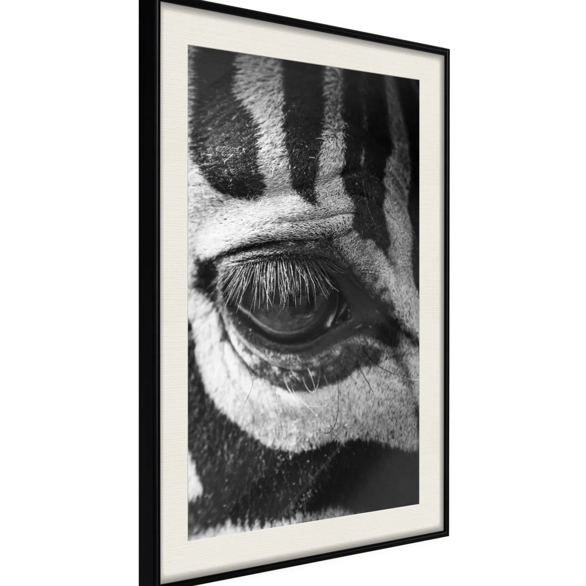 Poster 'Zebra Is Watching You'