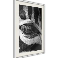 Poster 'Zebra Is Watching You'