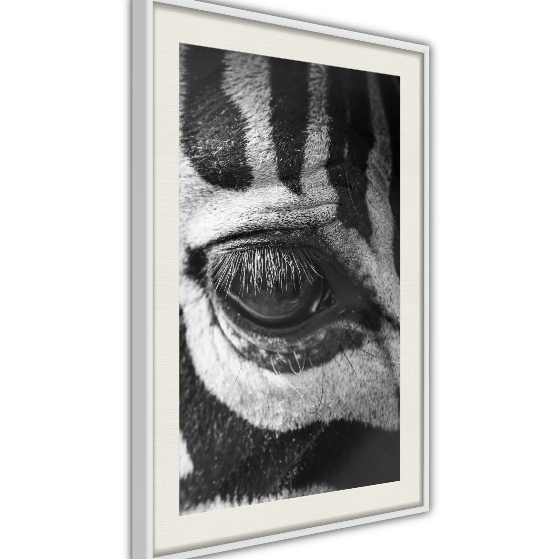 Poster 'Zebra Is Watching You'