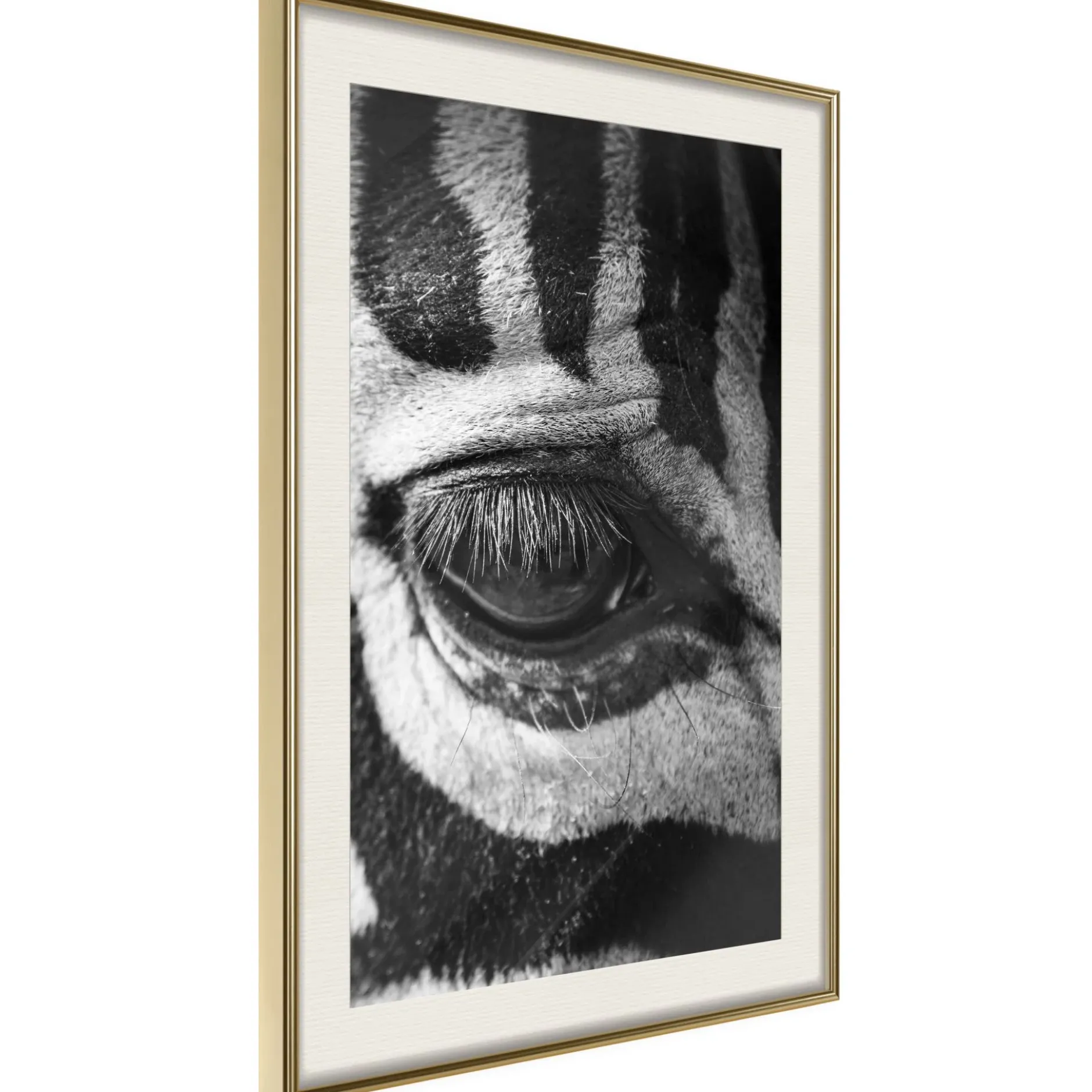 Poster 'Zebra Is Watching You'
