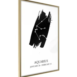 Poster 'Zodiac: Aquarius I'
