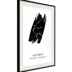 Poster 'Zodiac: Aquarius I'