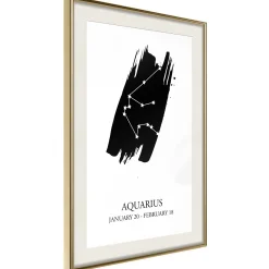 Poster 'Zodiac: Aquarius I'