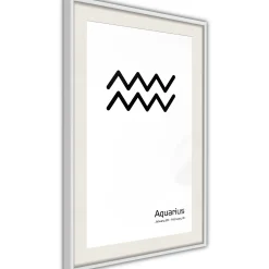 Poster 'Zodiac: Aquarius II'