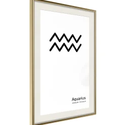Poster 'Zodiac: Aquarius II'