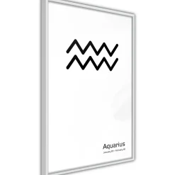 Poster 'Zodiac: Aquarius II'