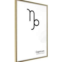 Poster 'Zodiac: Capricorn II'