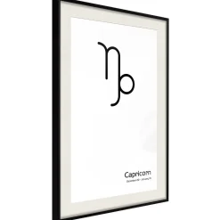 Poster 'Zodiac: Capricorn II'