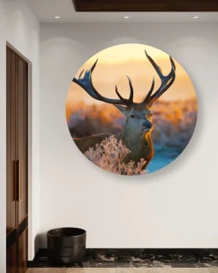 Rundes Bild 'Forest Glow'