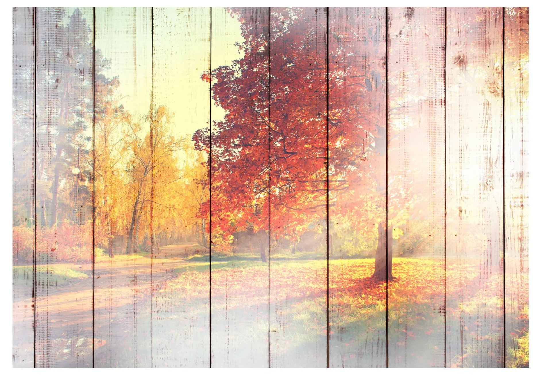 Selbstklebende Tapete 'Autumn Sun'