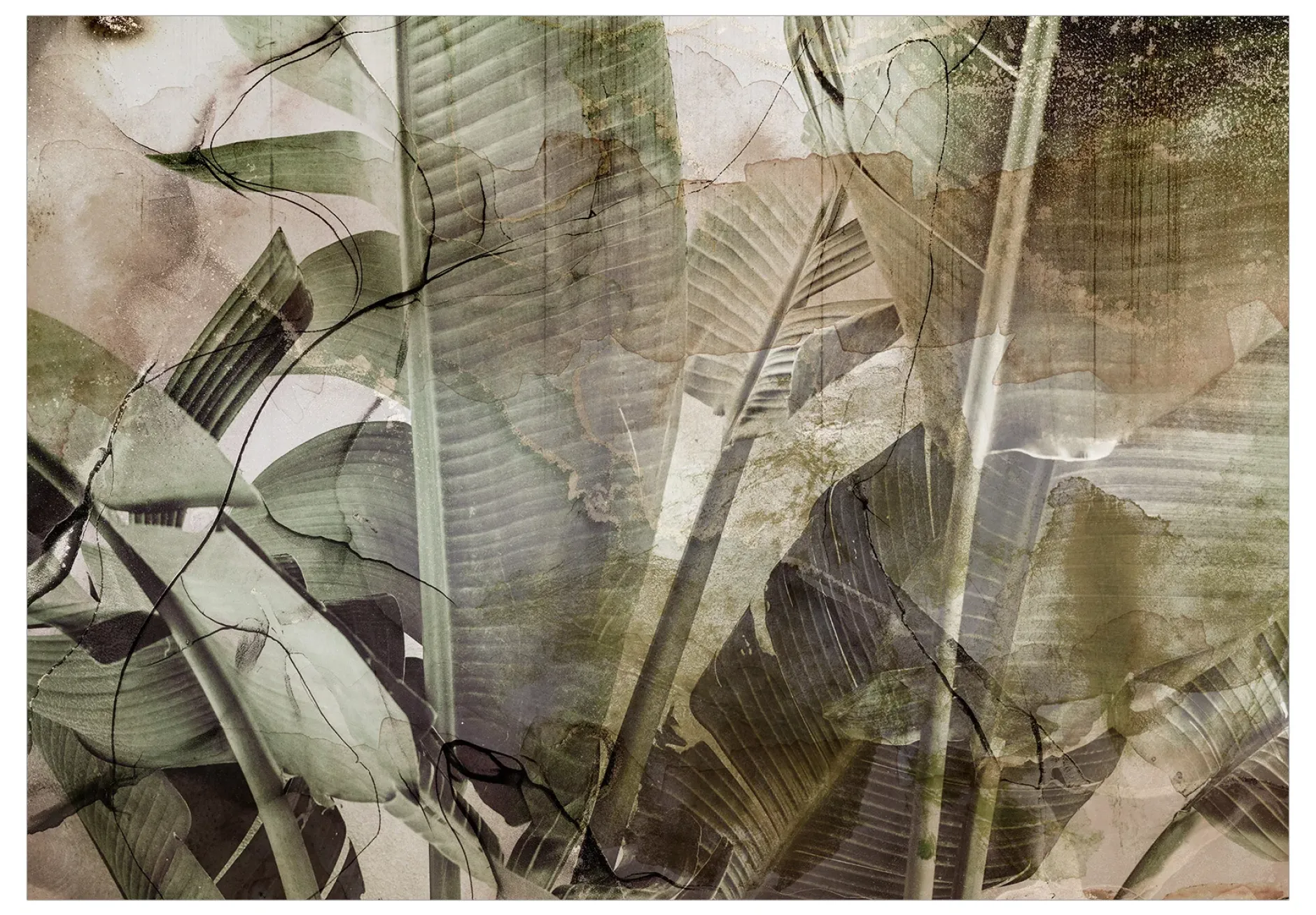 Selbstklebende Tapete 'Banana Jungle'