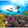 Selbstklebende Tapete 'Bottom of the Ocean'