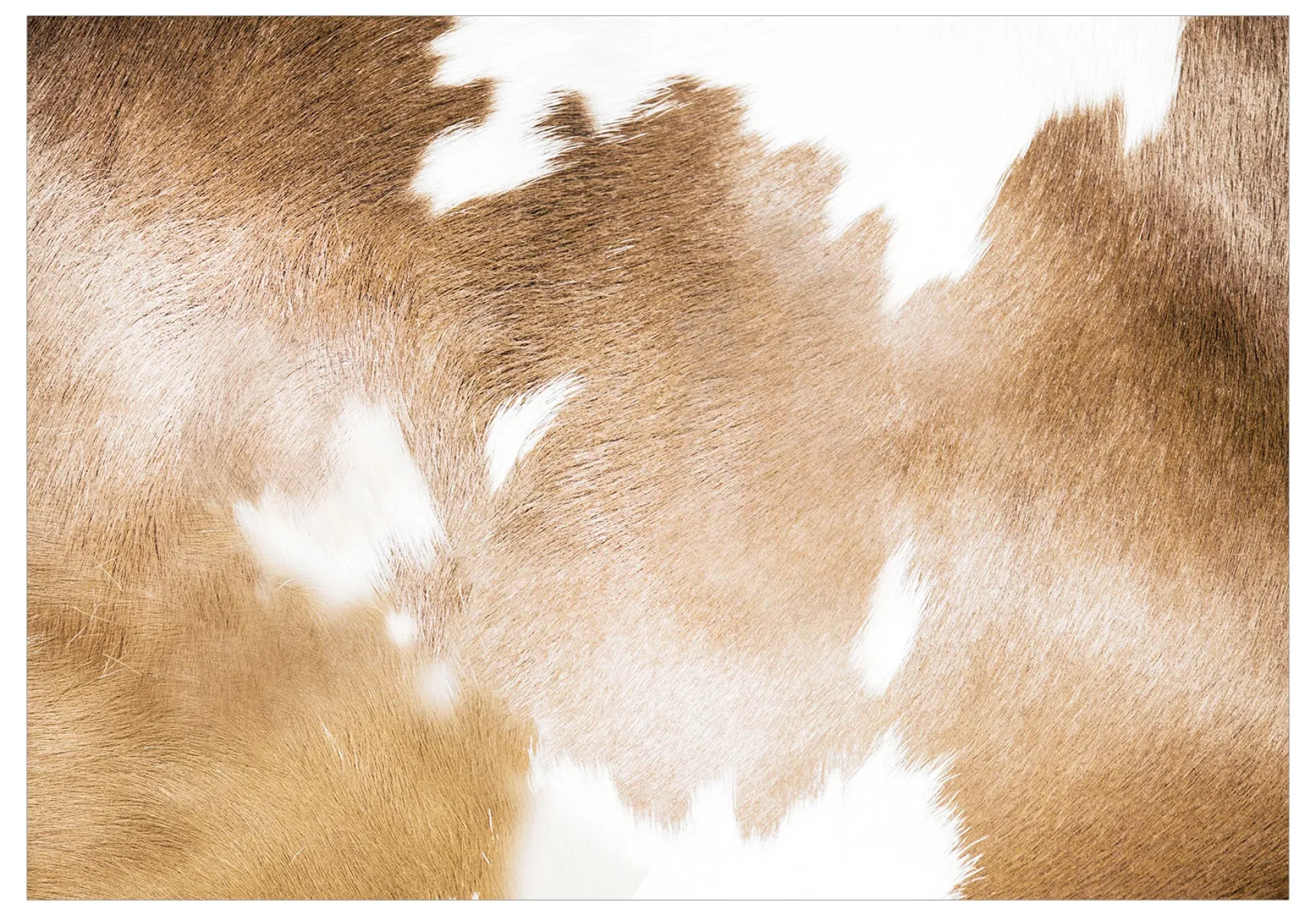 Selbstklebende Tapete 'Cow Patches'