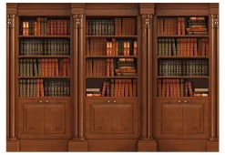 Selbstklebende Tapete 'Elegant Library'