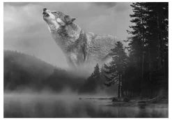 Selbstklebende Tapete 'Forest Secrets'