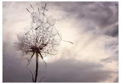 Selbstklebende Tapete 'Gentle Wind'