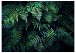 Selbstklebende Tapete 'In the Thicket'