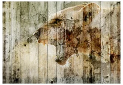 Selbstklebende Tapete 'Lion Queen'