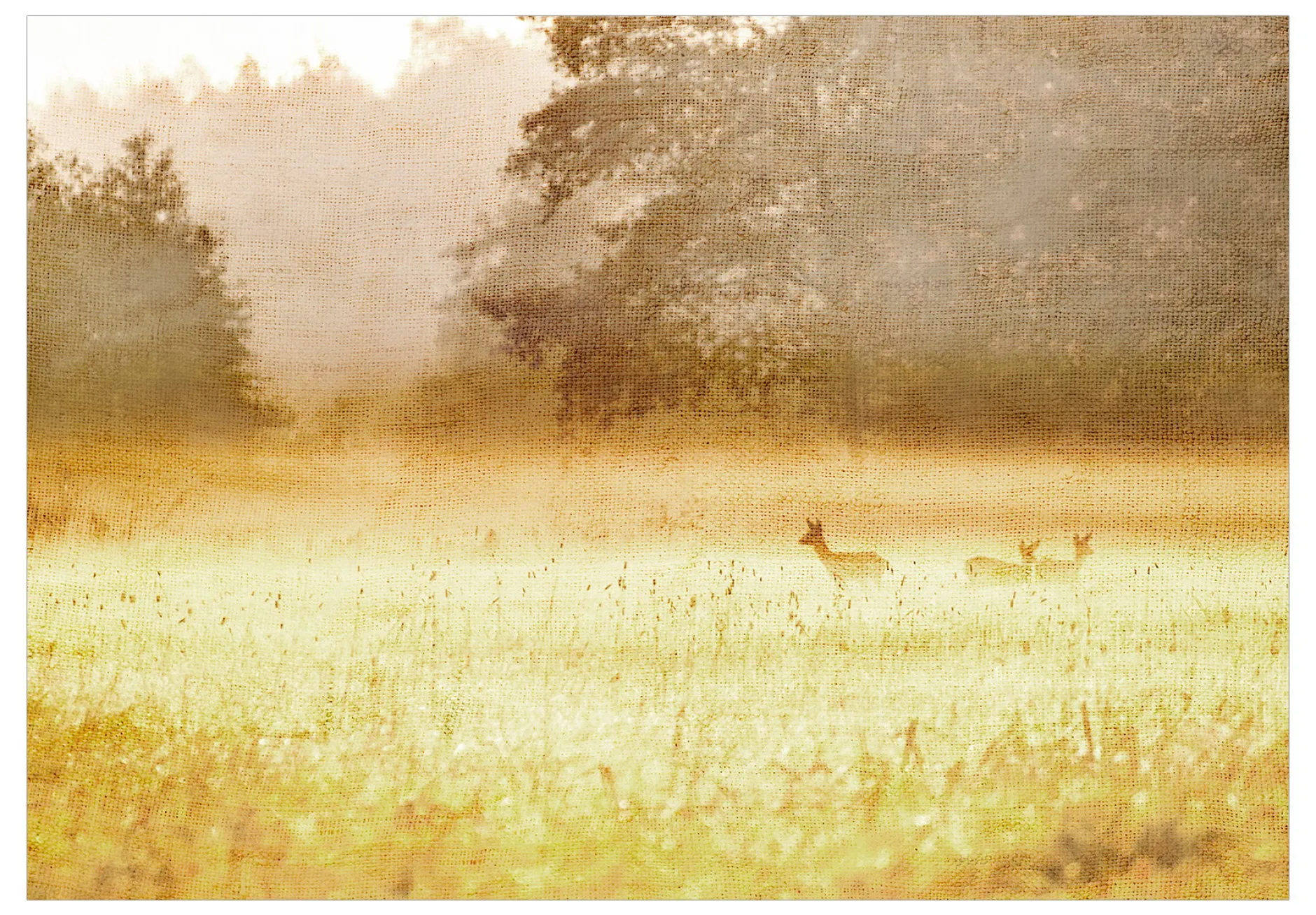 Selbstklebende Tapete 'Morning Dew'