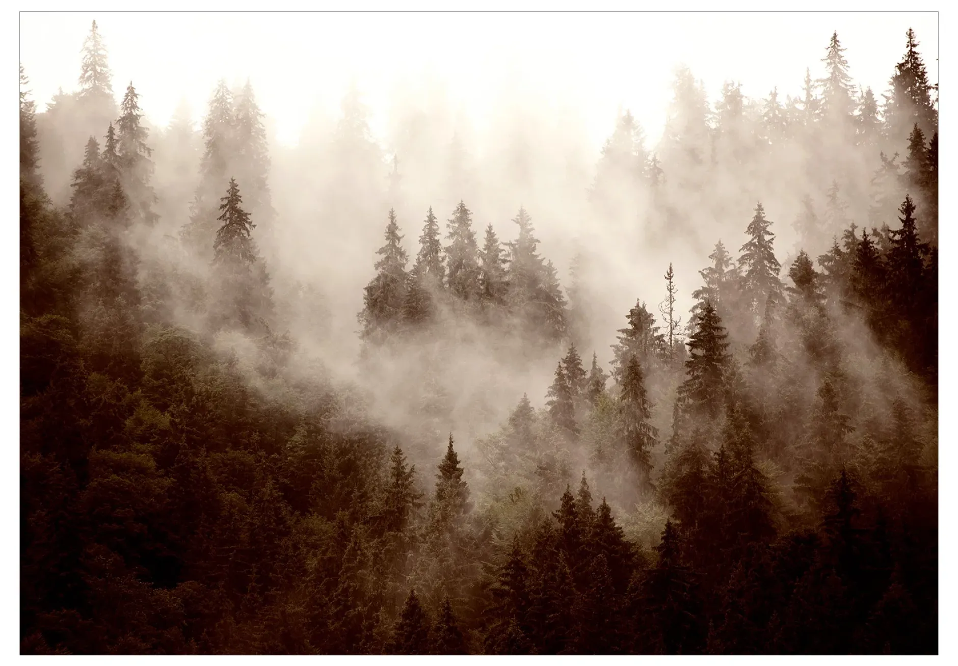 Selbstklebende Tapete 'Mountain Forest (Sepia)'