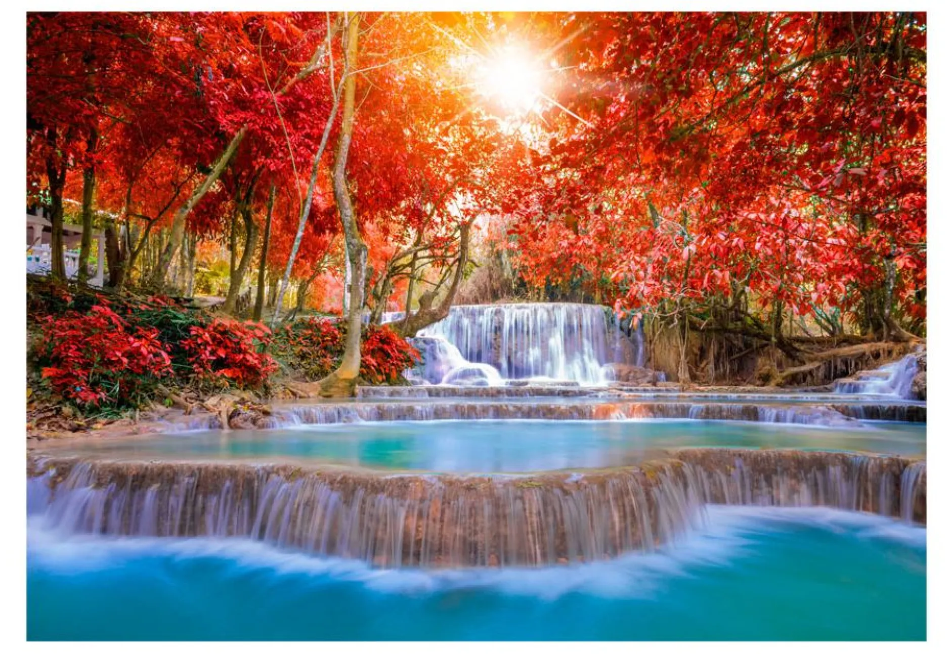 Selbstklebende Tapete 'Nature's Magic'