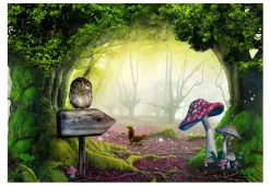 Selbstklebende Tapete 'Owlish corner'