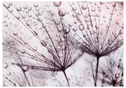 Selbstklebende Tapete 'Rainy Time'