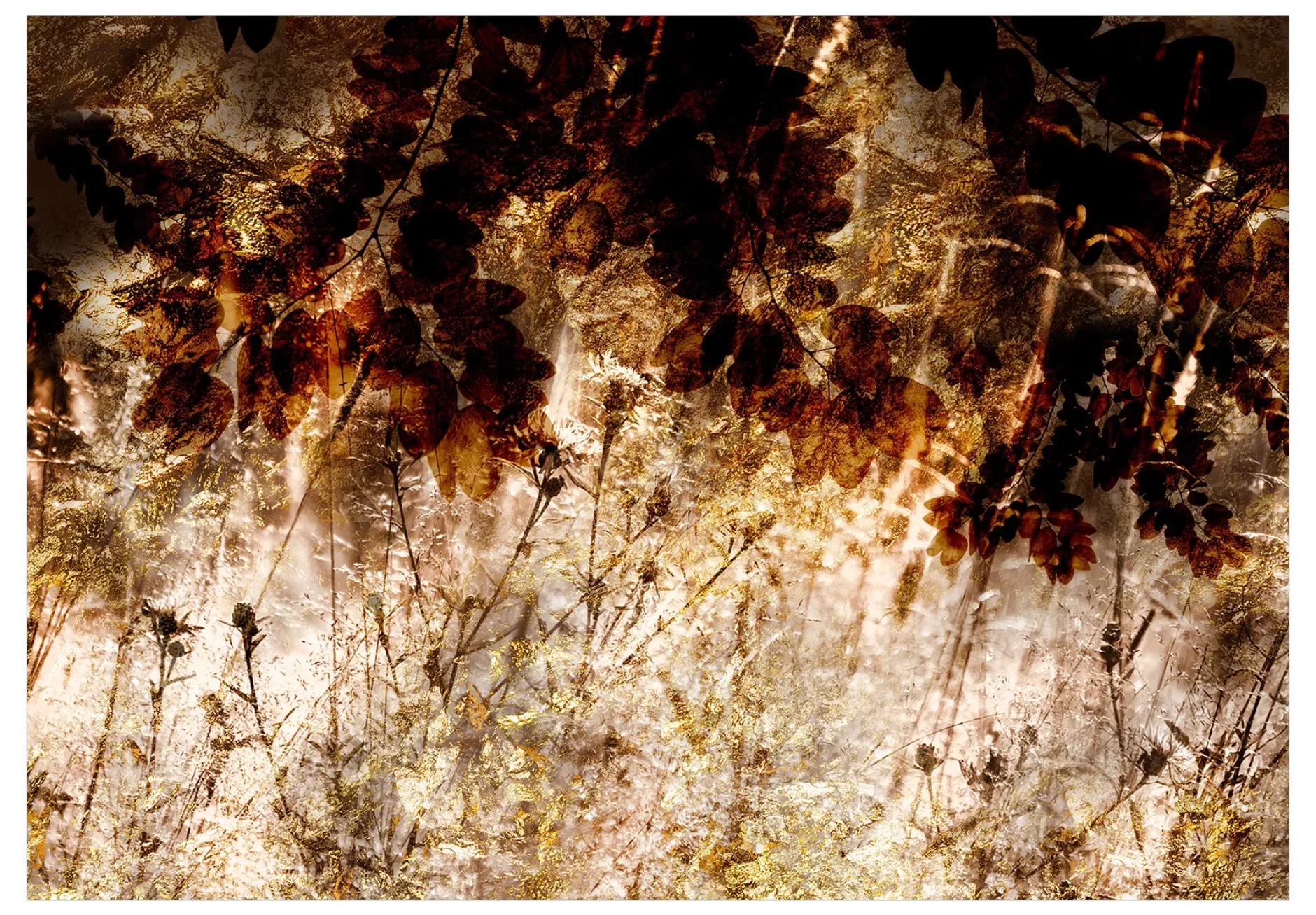 Selbstklebende Tapete 'Retro Meadow'