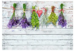 Selbstklebende Tapete 'Sign of Provence'