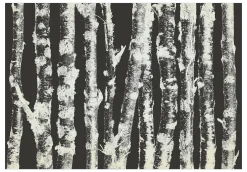 Selbstklebende Tapete 'Stately Birches - Second Variant'