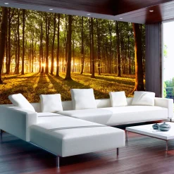 Selbstklebende Tapete 'Summer: Morning in the forest'